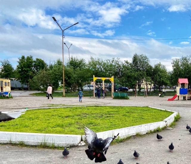 Стартовал сбор средств на реализацию проекта по обновлению сквера
