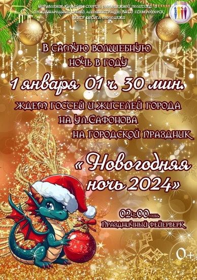 В новогоднюю ночь
