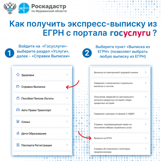 Что включается в состав экспресс-выписки, запрашиваемой через Госуслуги?