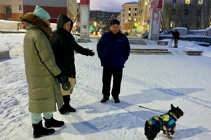В Североморске прошел рейд по вопросам выгула собак