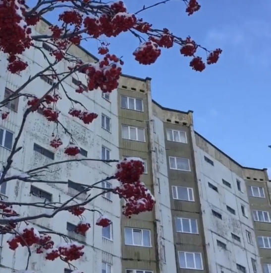 Стартовал прием заявок на выдачу «арктической ипотеки» под 2 процента