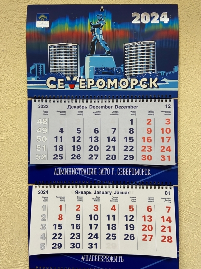 Новогодние каникулы
