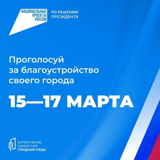 15-17 марта североморцы смогут принять участие в голосовании за объекты благоустройства