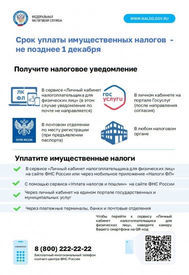 Срок уплаты имущественных налогов