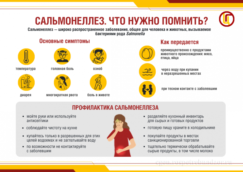 Профилактика сальмонеллеза