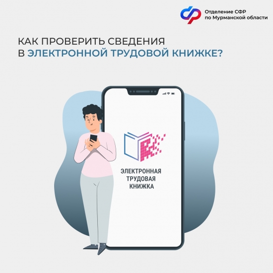 Как проверить сведения в электронной трудовой книжке?
