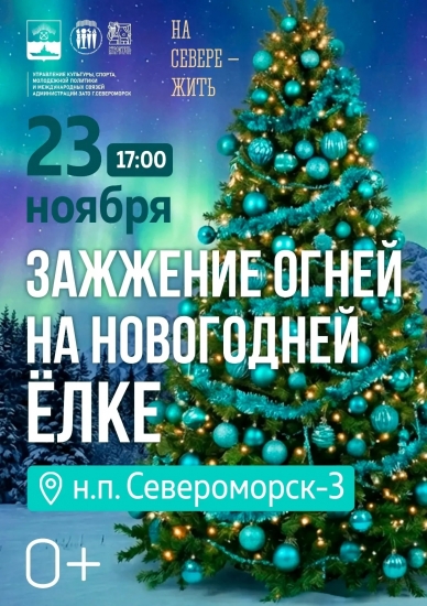 Наши хвойные красавицы загораются яркими огоньками