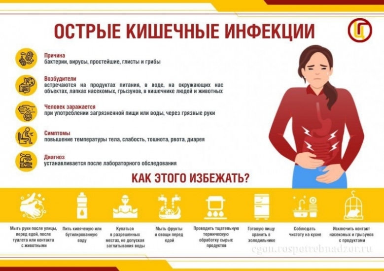 О профилактике острых кишечных инфекций в летний период