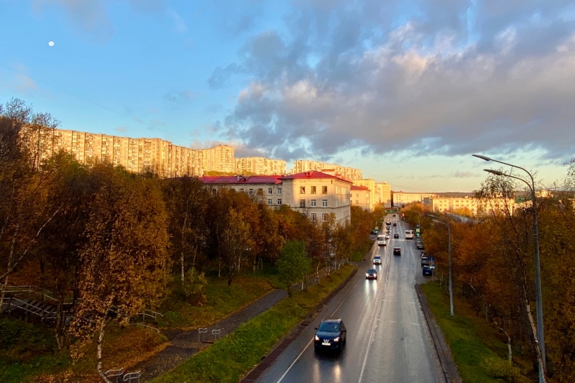 В целях предупреждения ДТП