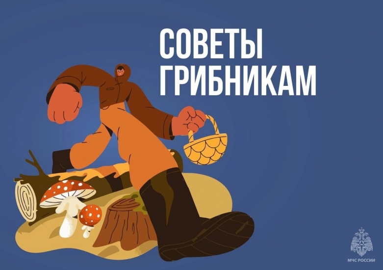 Мурманский оперативный штаб напоминает о правилах безопасности при сборе грибов