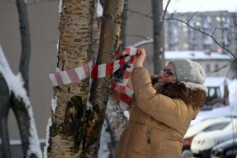 Ученые обследуют рябиновую аллею на ул.Сафонова