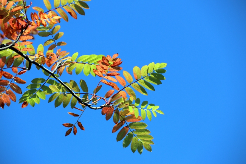 32 рейда по охране природы прошло в Мурманской области