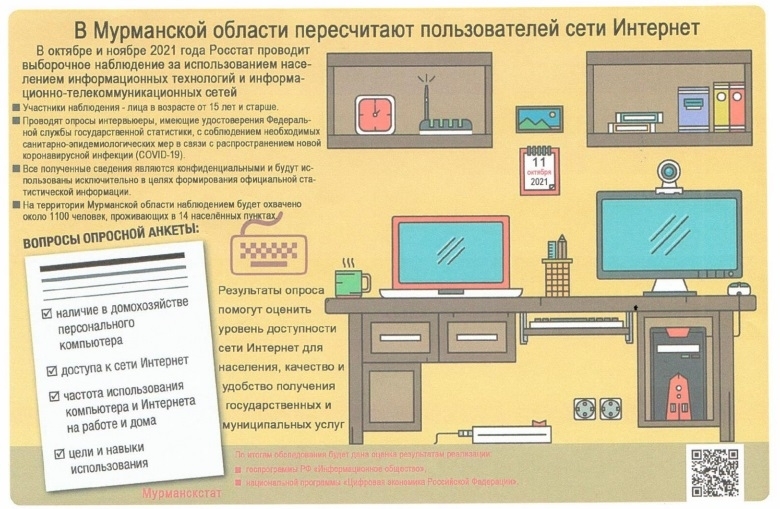 В Мурманской области пересчитают пользователей сети интернет