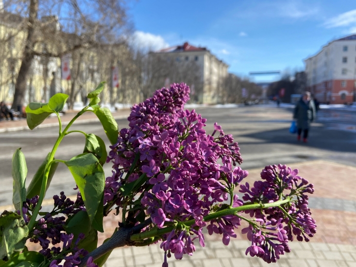1 мая – День весны и труда