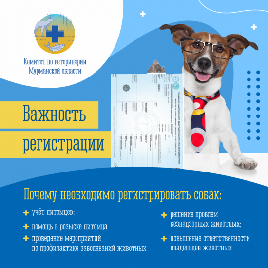 О необходимости регистрации домашних животных